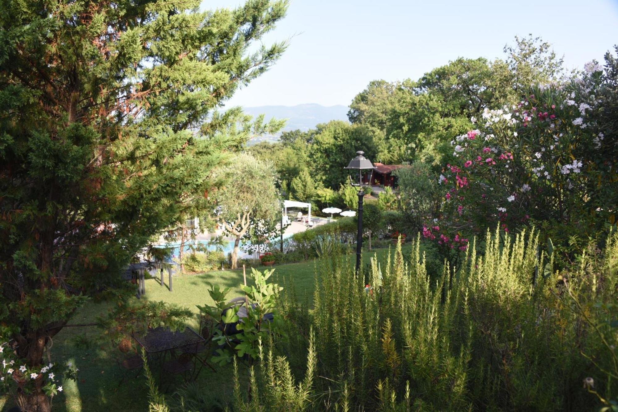Bosco D'Olmi Country House Sant'Andrea del Garigliano Екстер'єр фото